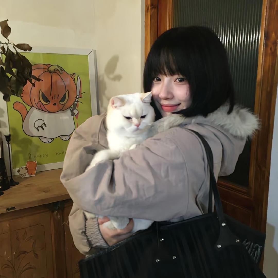 天天