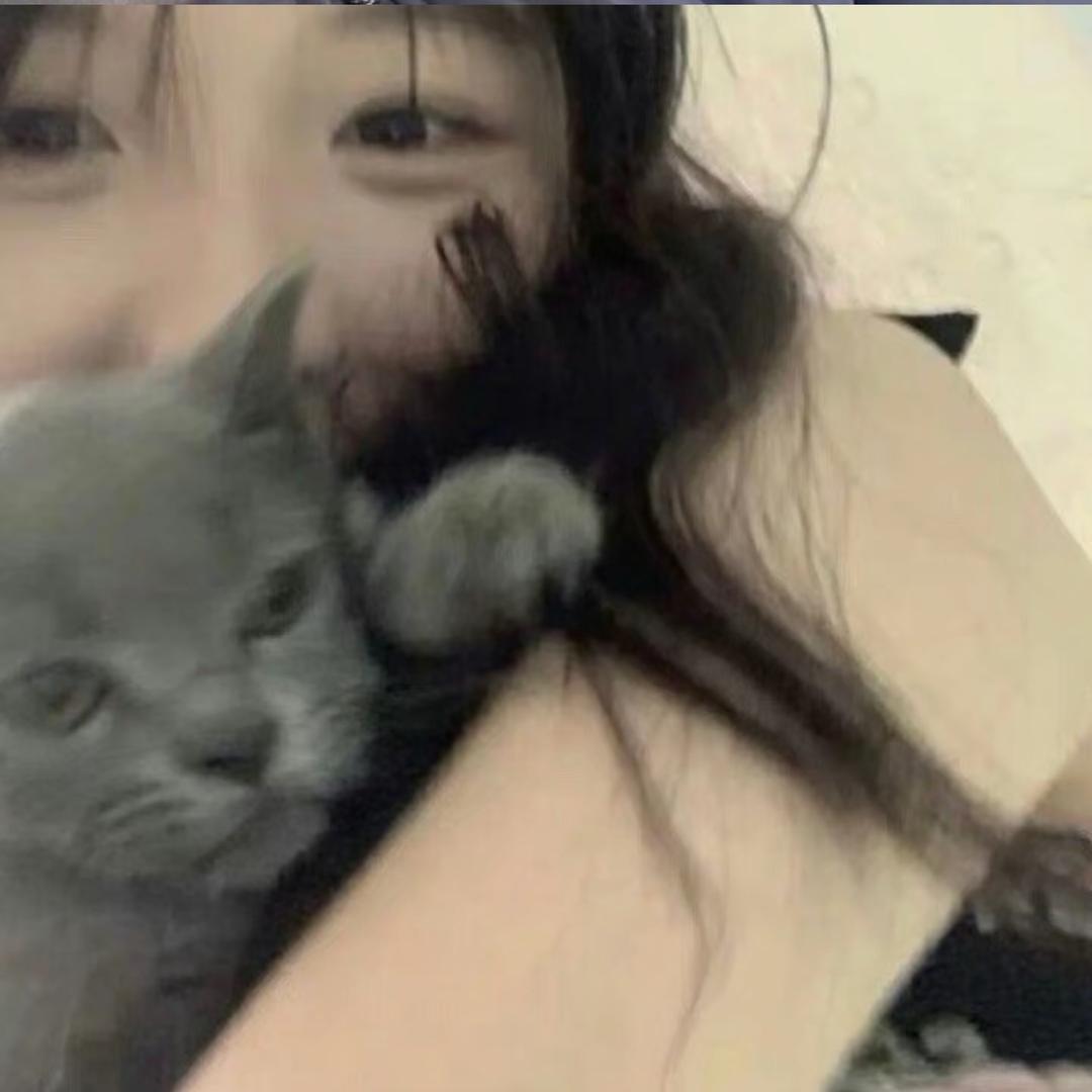 美少女胡图图✌️