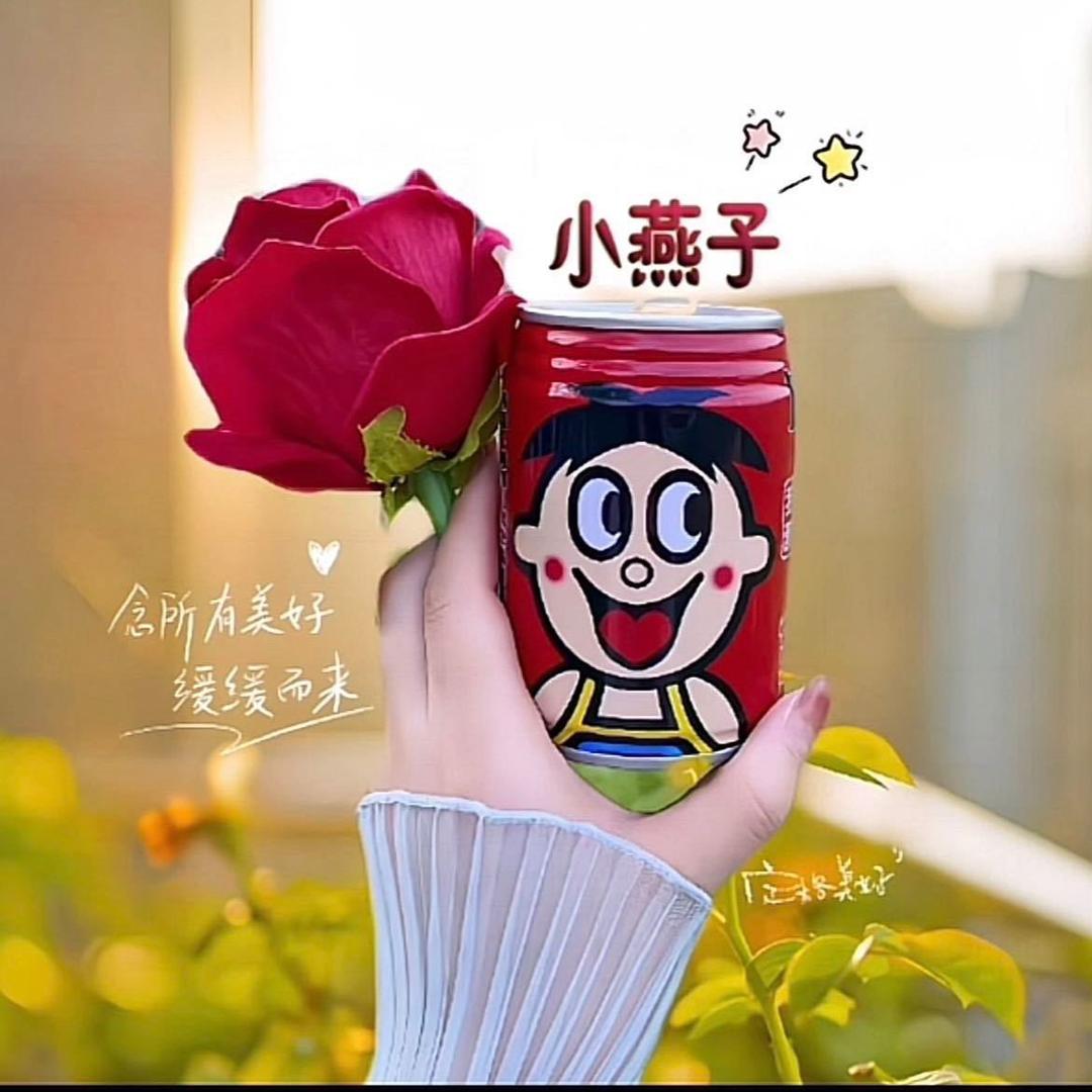 小燕子💕