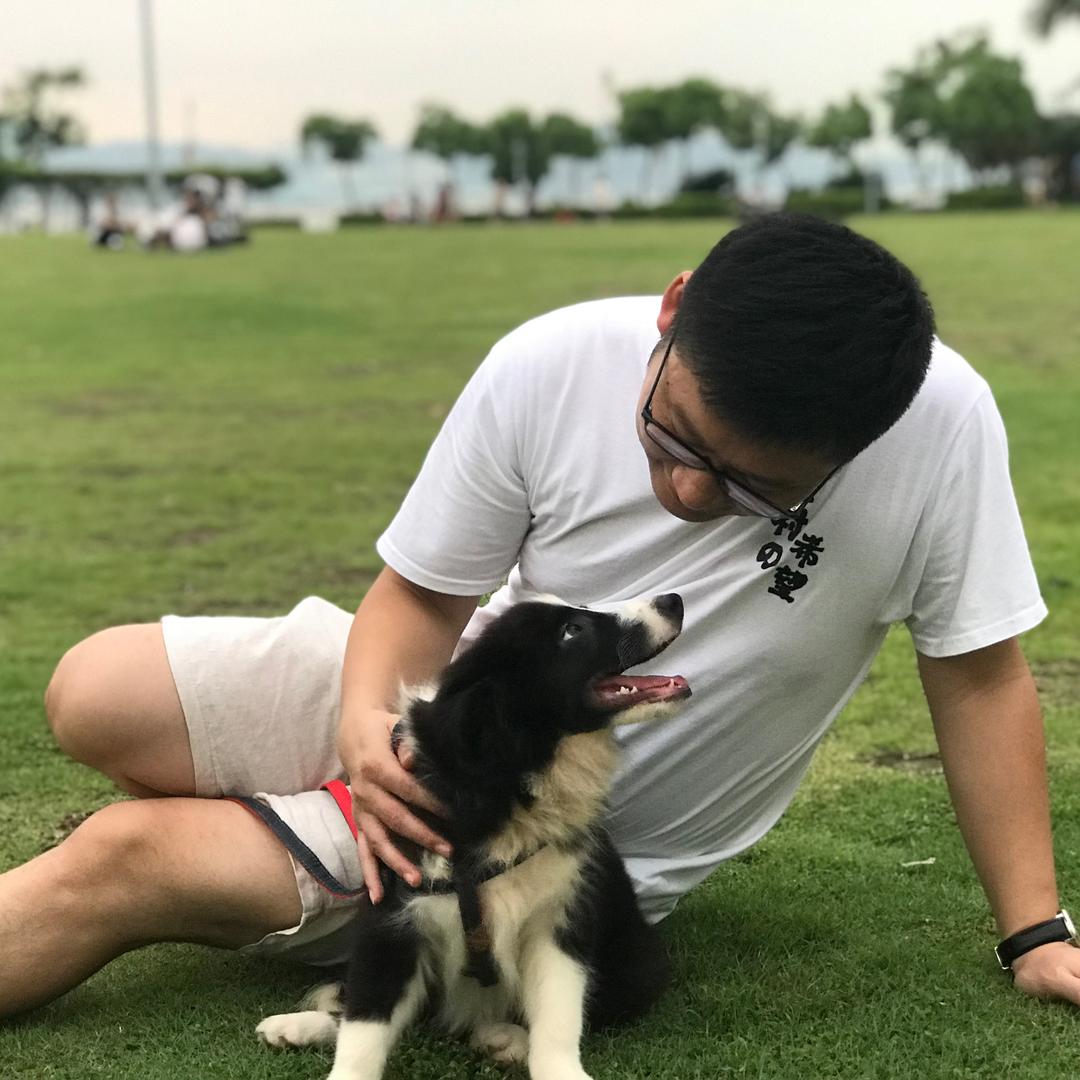 边牧天天