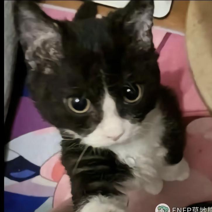 🥽-