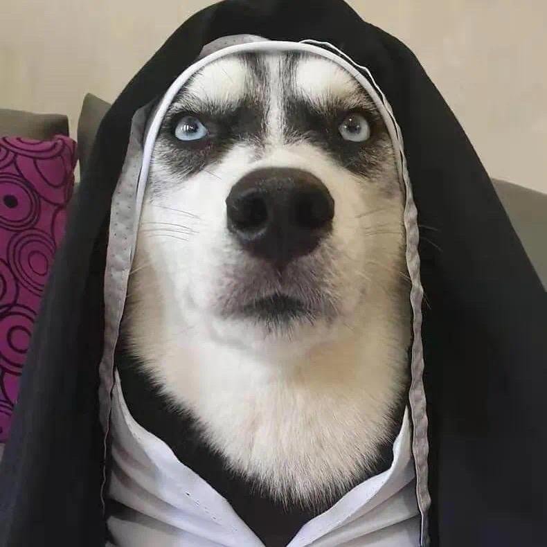 𓃟