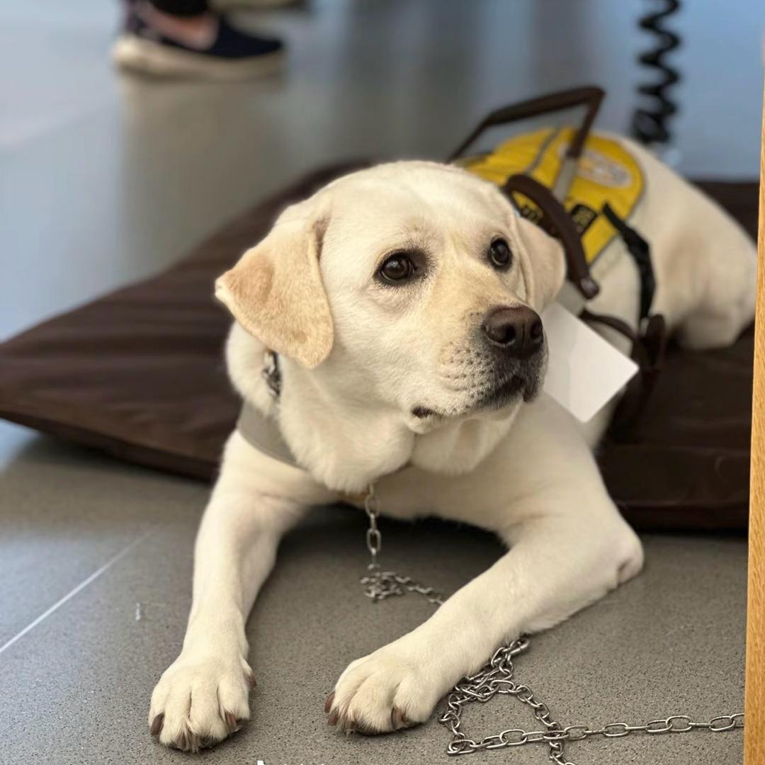 天天向上开心每一天