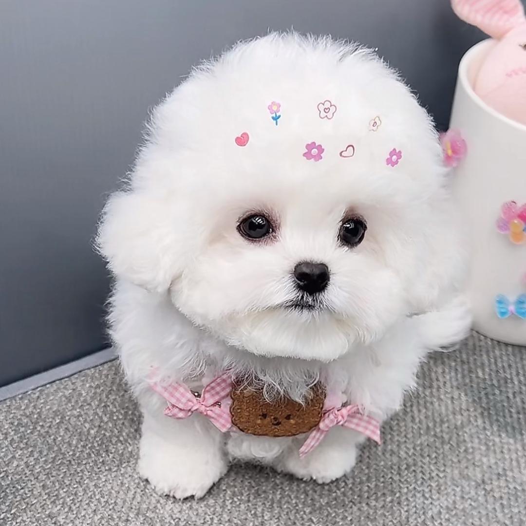 ᝰꫛℯꪝ