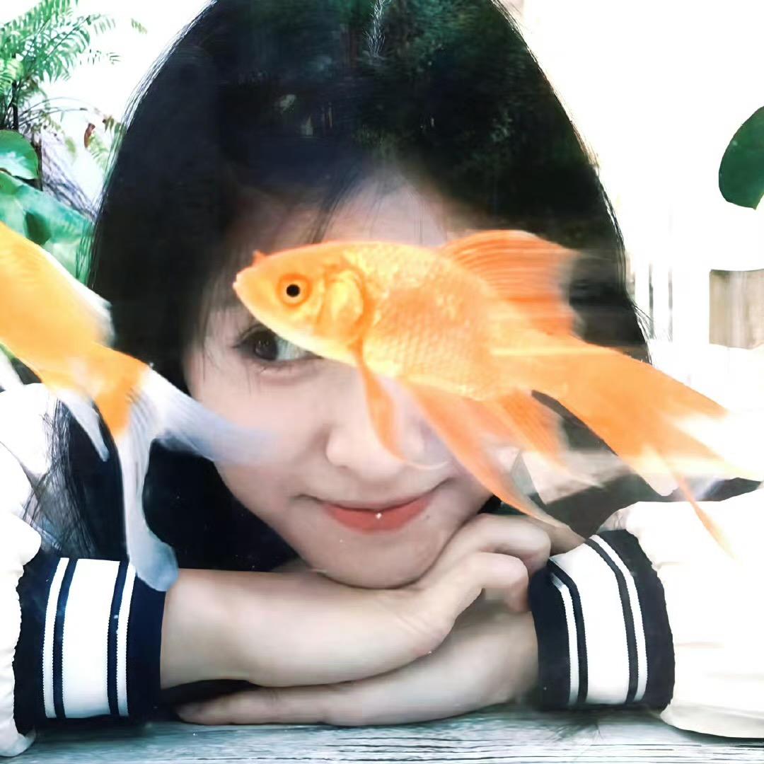 发财蛋蛋