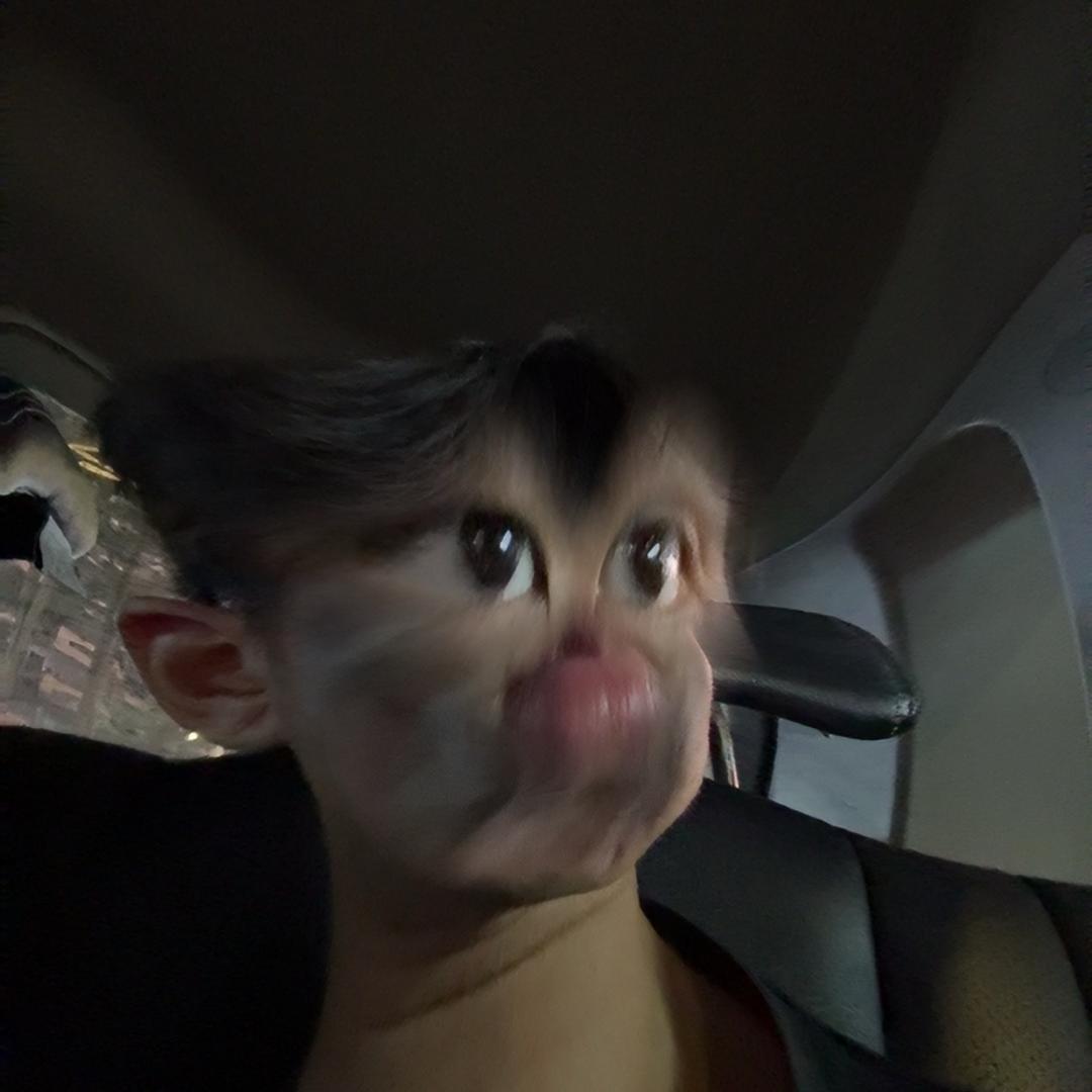 费舍尔