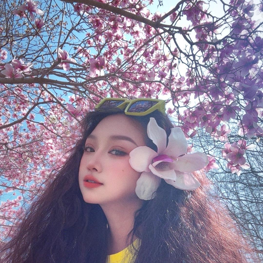 🌟爱化妆的猫🌟