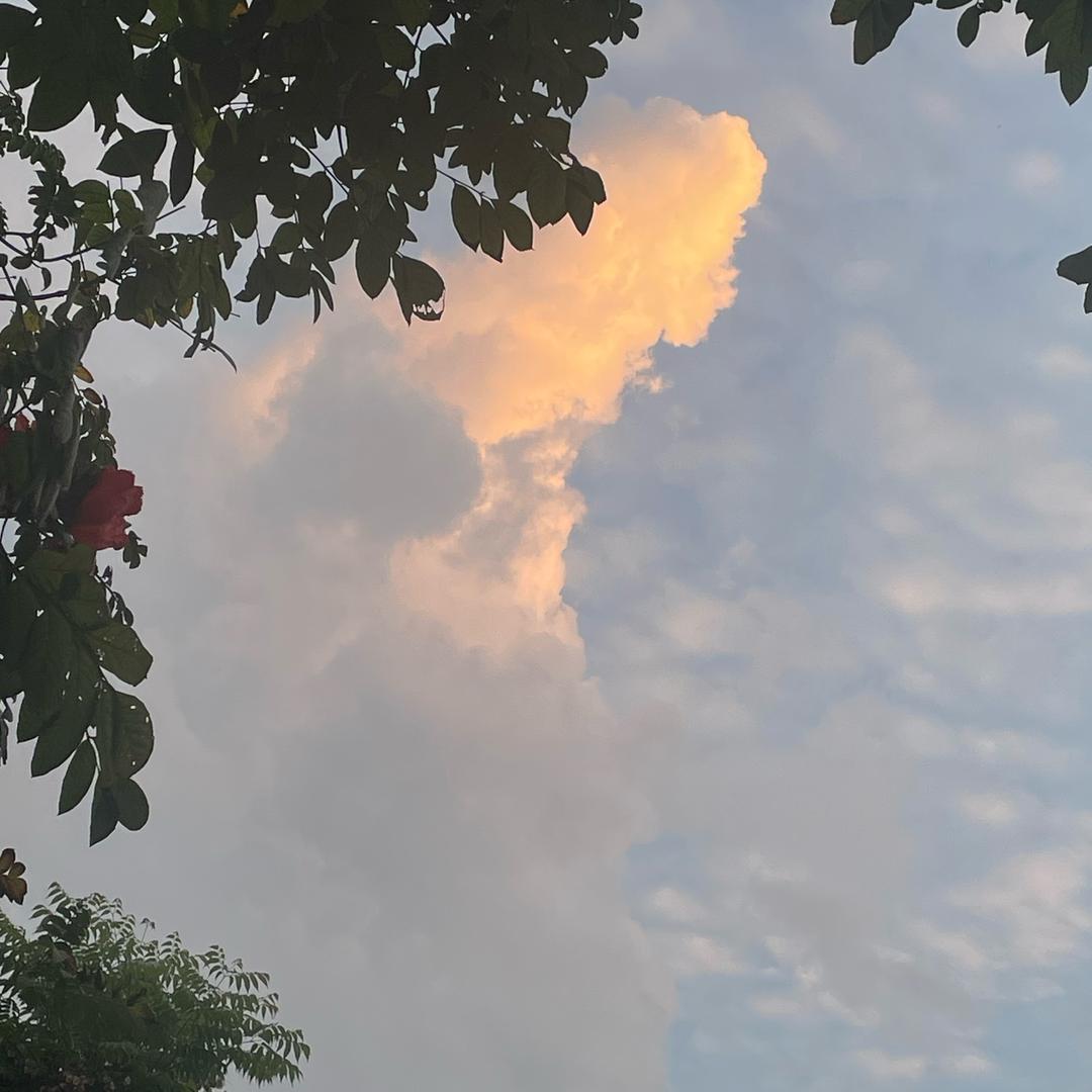 王可