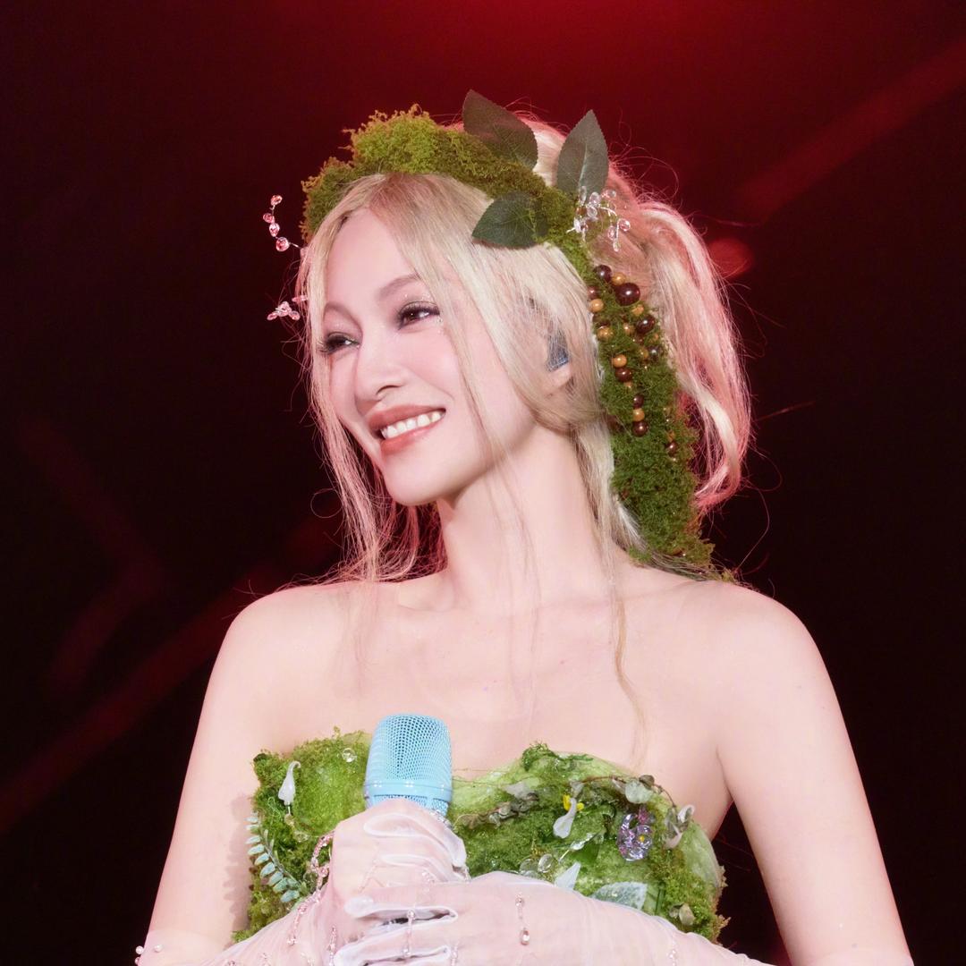白山茶live