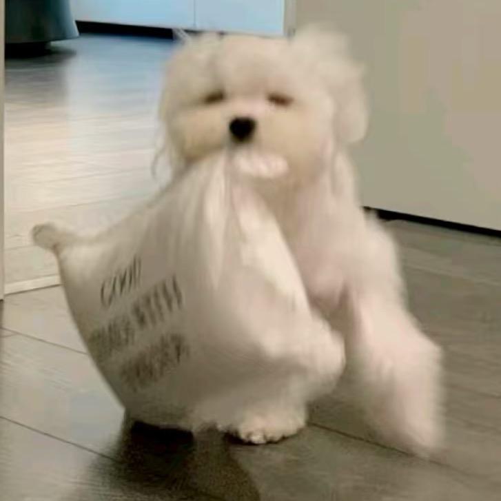 歪歪分享号