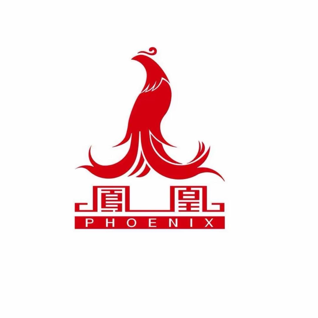 凤凰电动车新品发布1