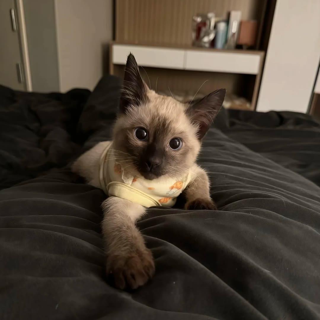 ㅤㅤㅤㅤ　 　　ㅤㅤㅤㅤy