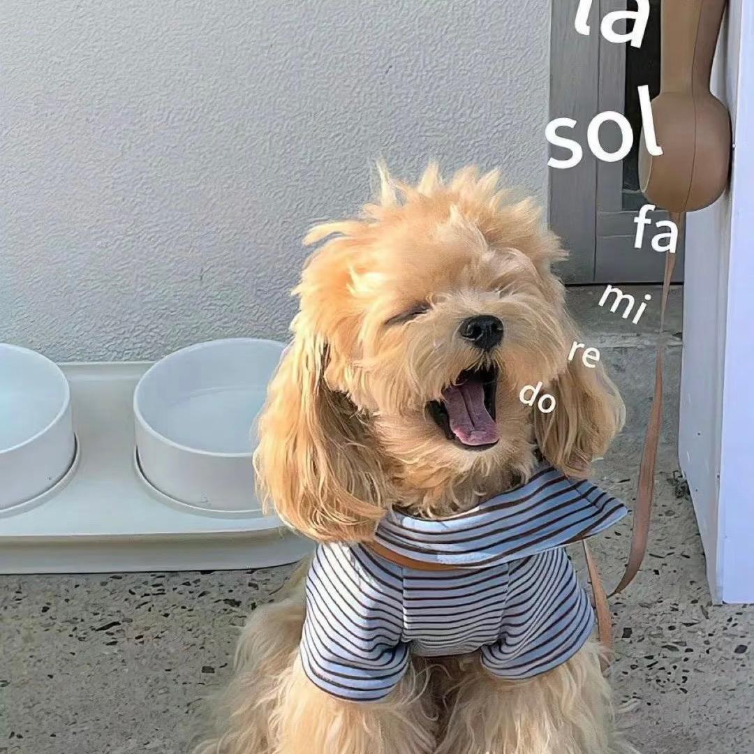 哈哈😄^_^^_^