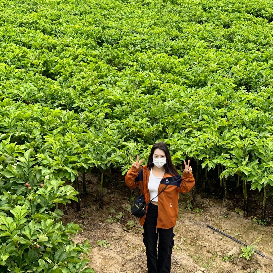 教你科学种魔芋