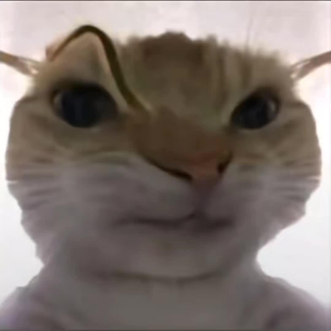 小唐人