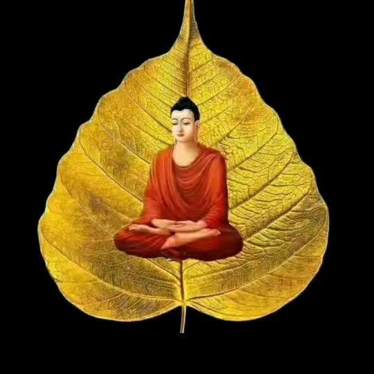 爱的✊秘密