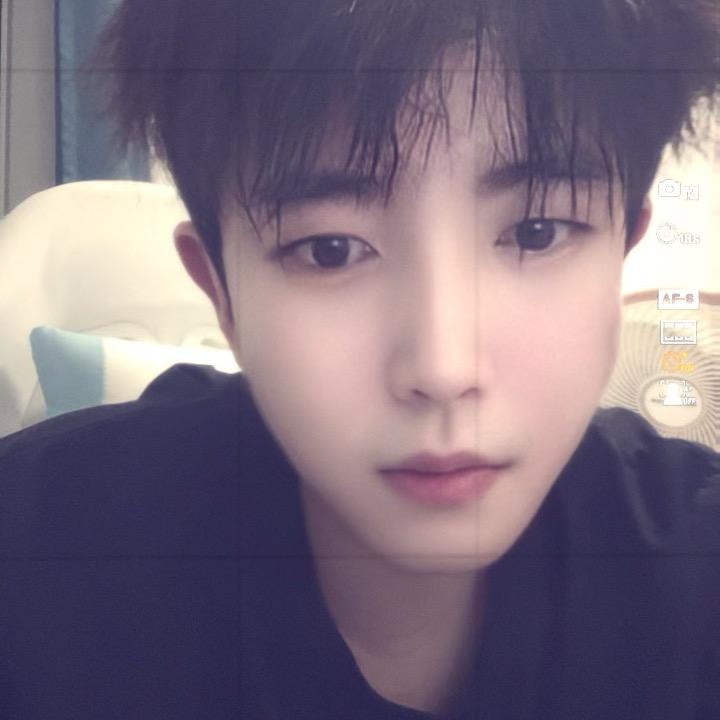 橙子好