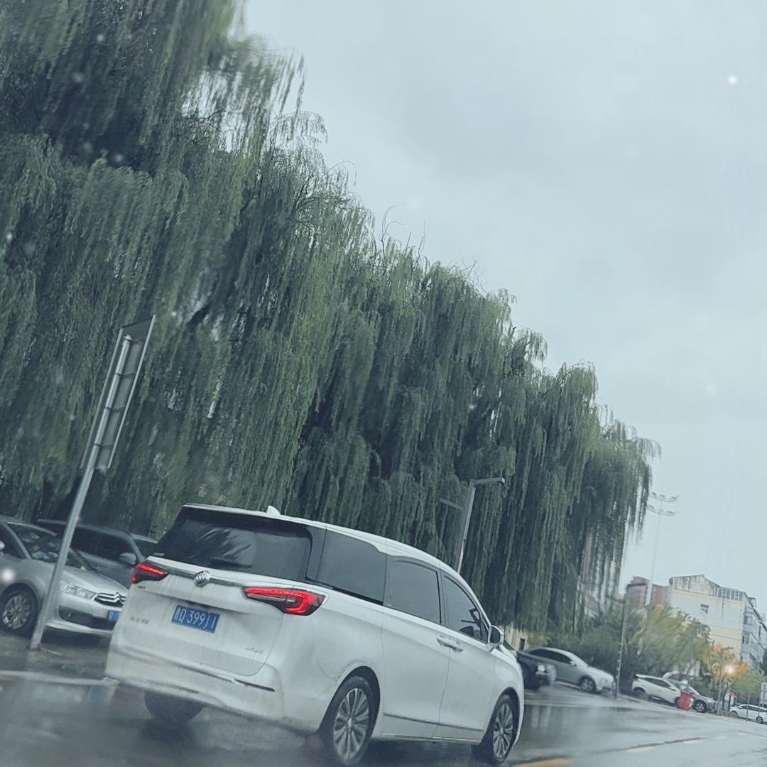 享尽孤独