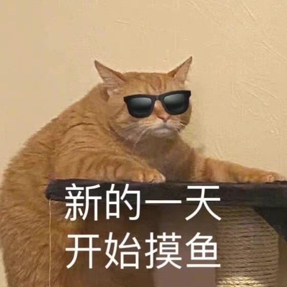 南边来了个呱呱呱