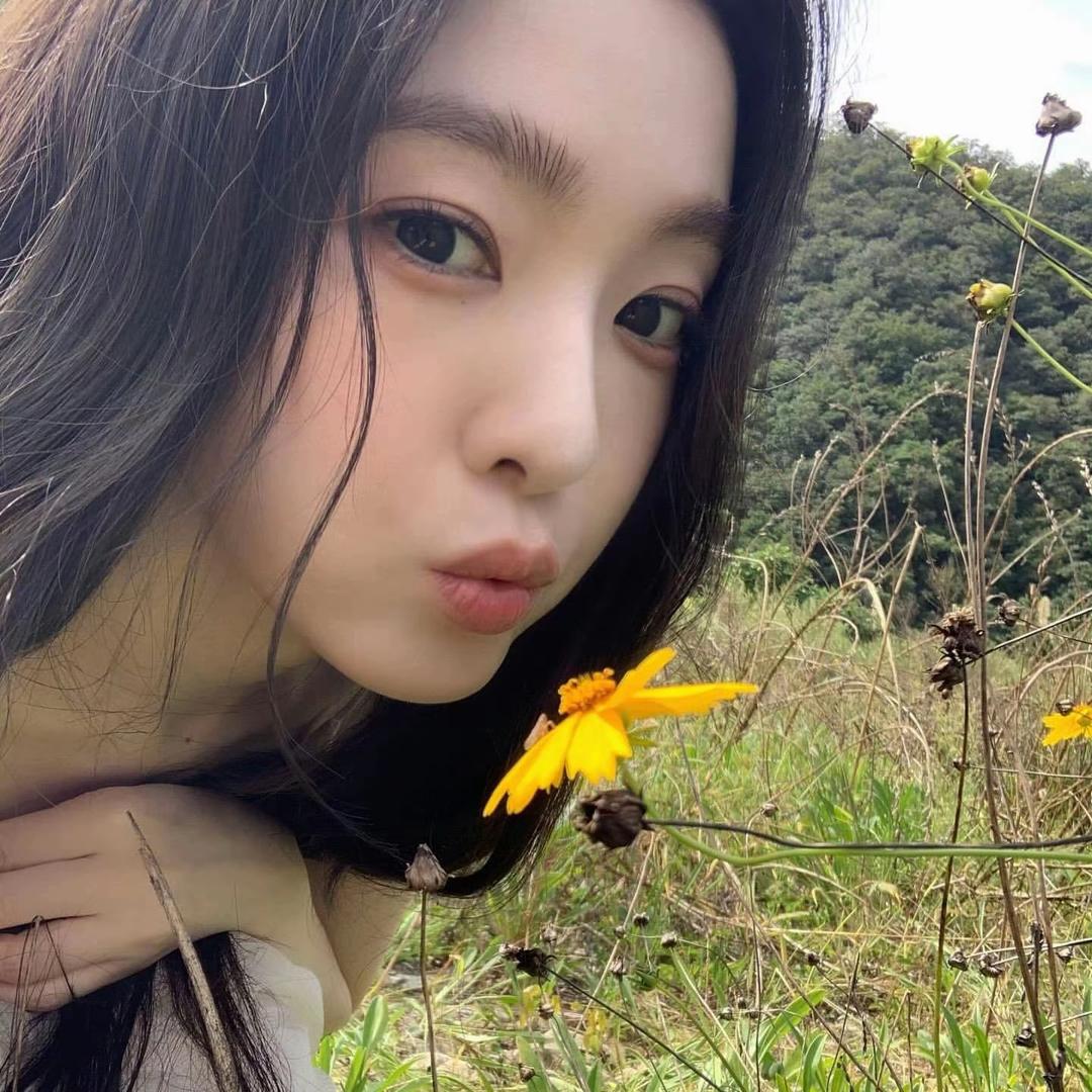 孤独的狼fff