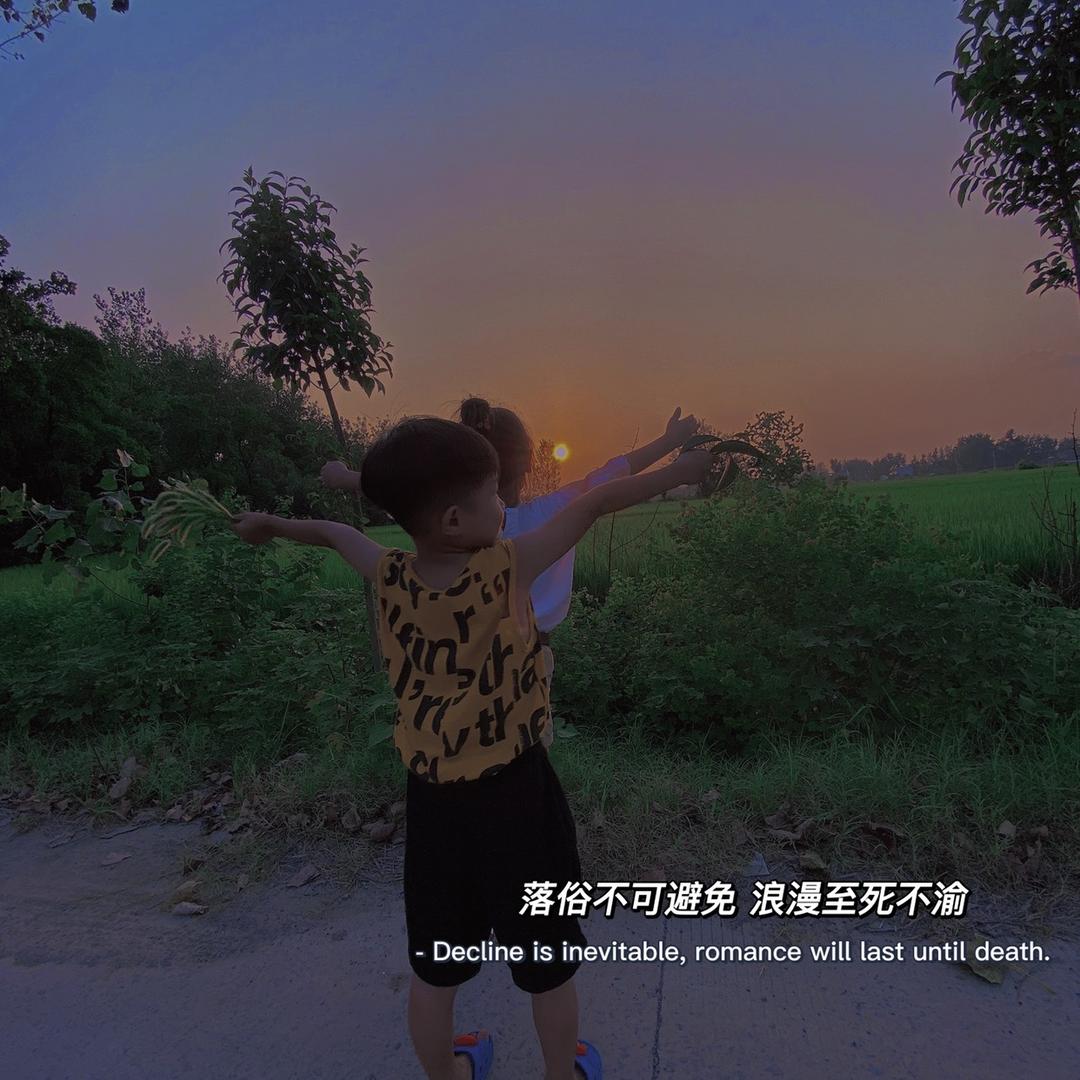 你看、你看