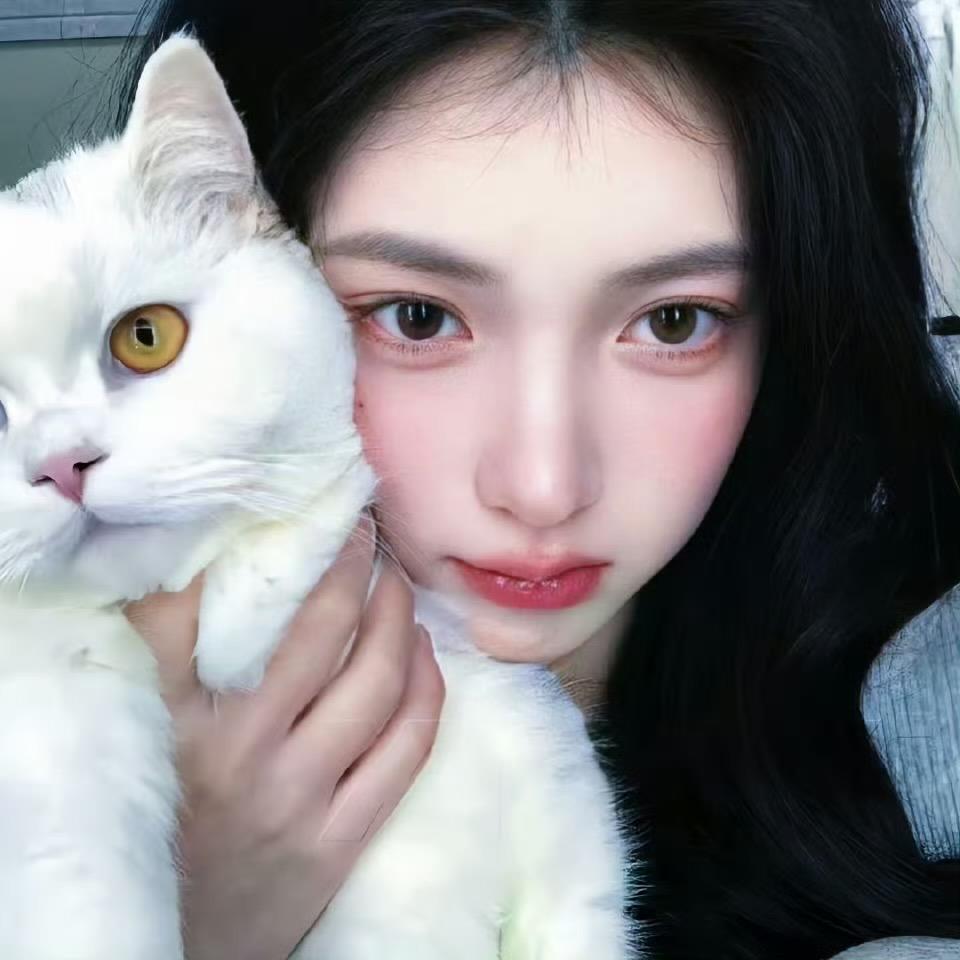 ql小猫