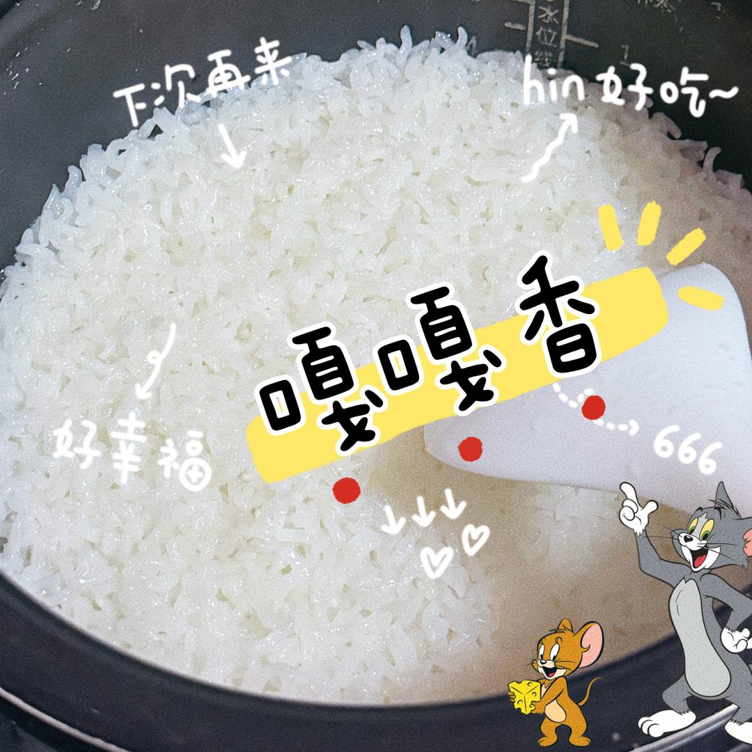 大米的孩子（米饭)