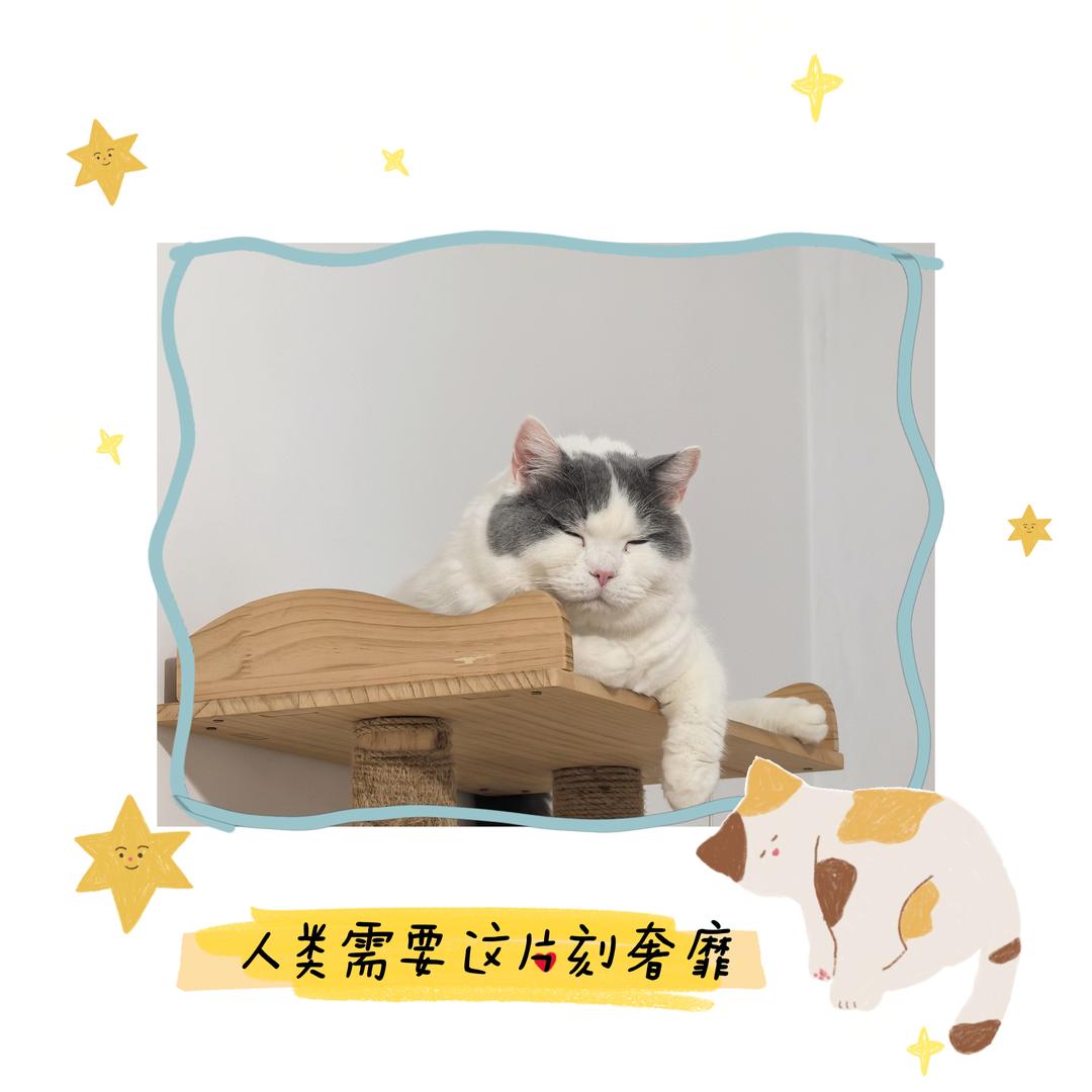 痞老板今天吃什么