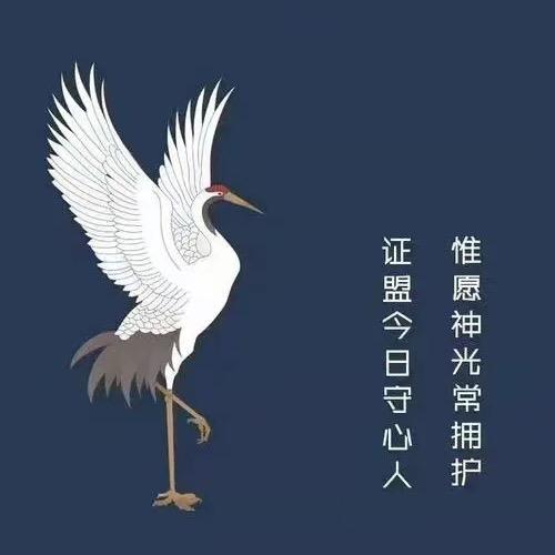 紫微斗数正清