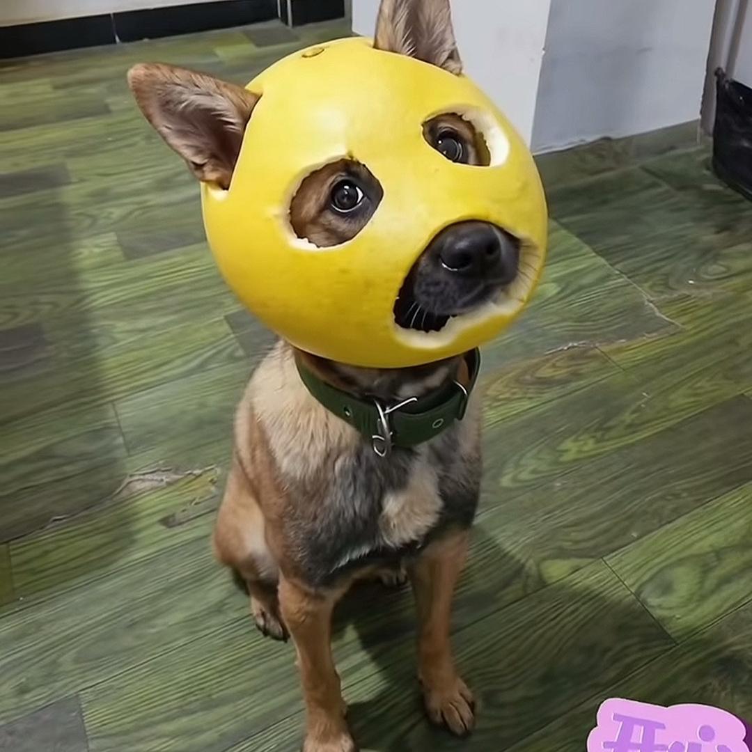 现在就好