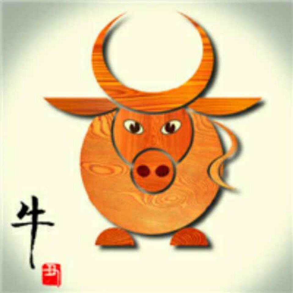 牛牛舞蹈