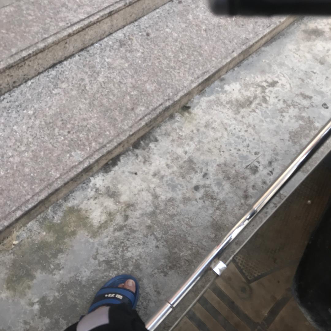 潮汕
