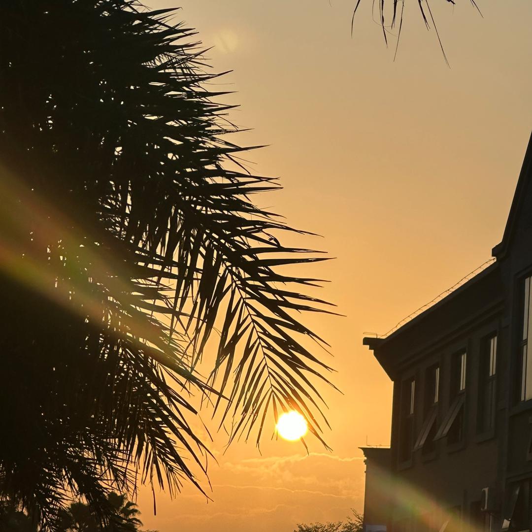 十里八村老实人