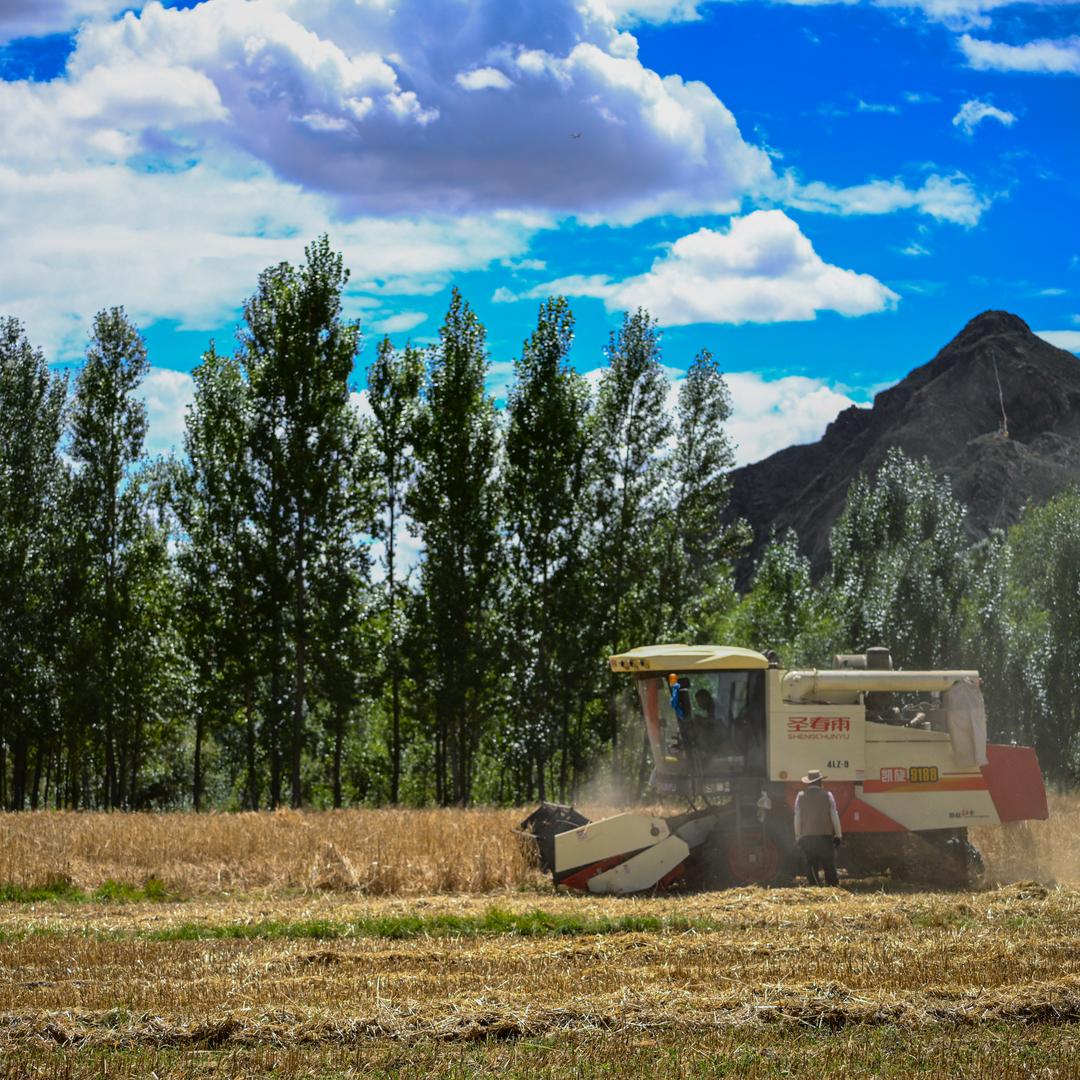 拉萨康庄农业装备