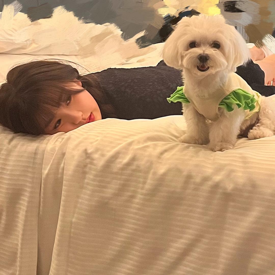 心事眠眠