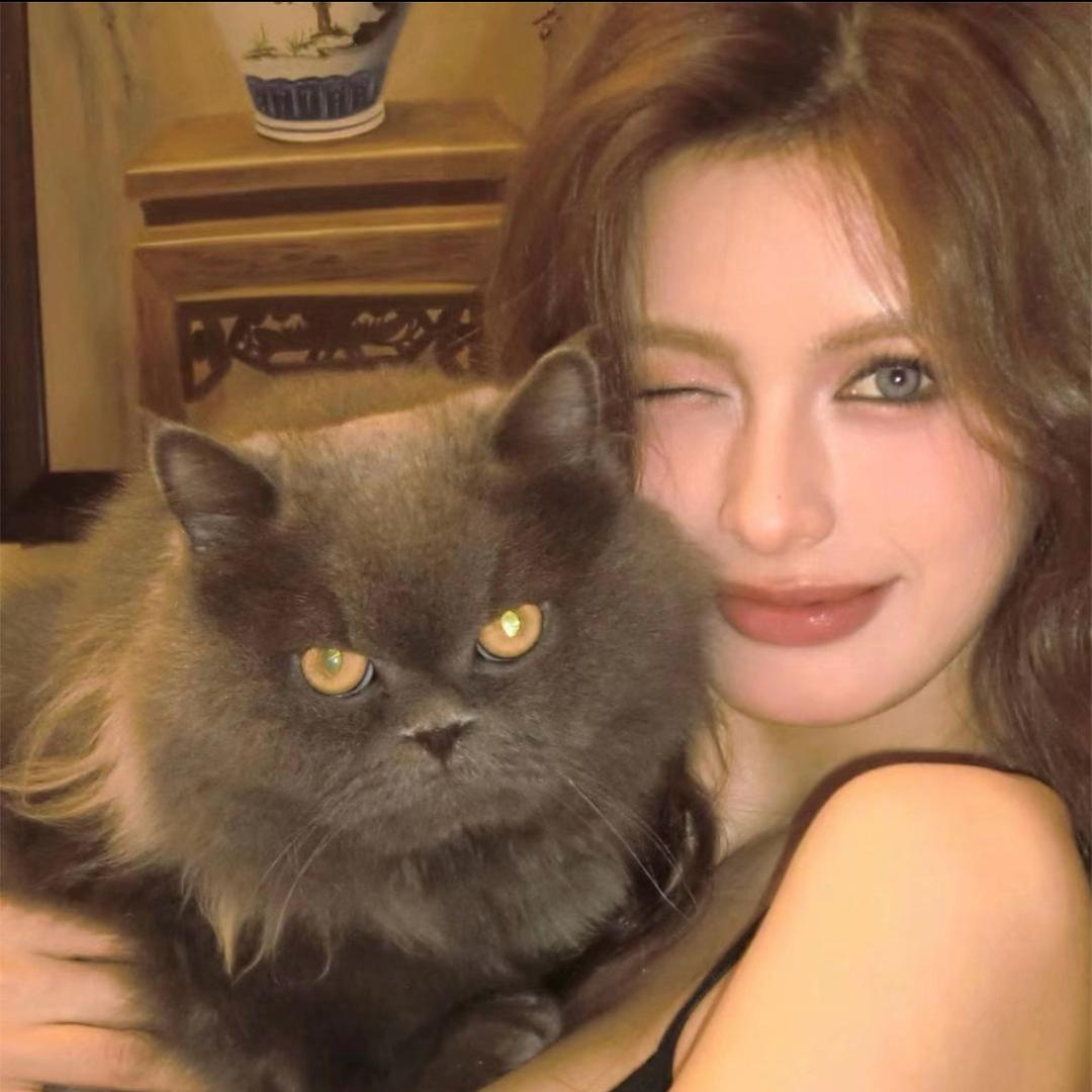 梅同学👩‍🎓