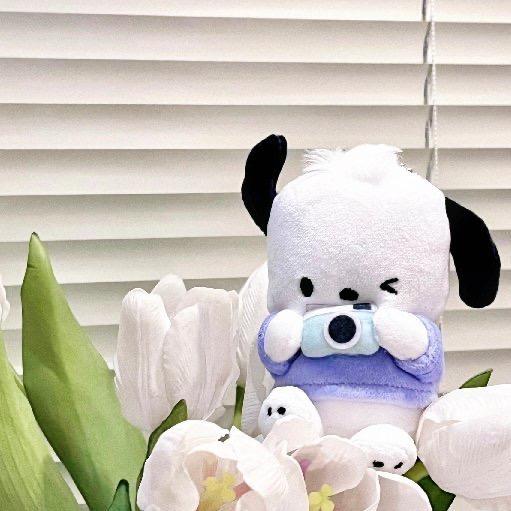修狗太可爱了对吗
