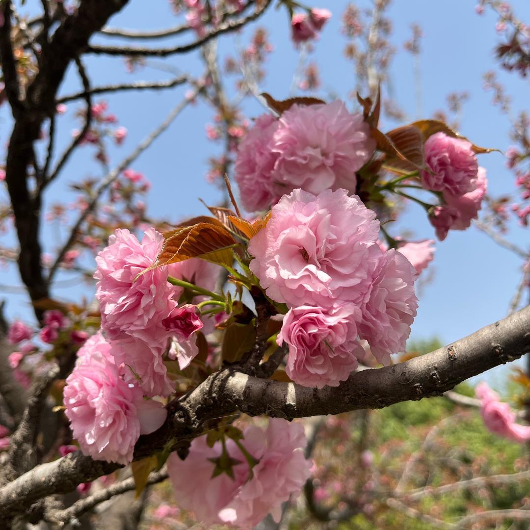 四十加被生活治愈的瞬间