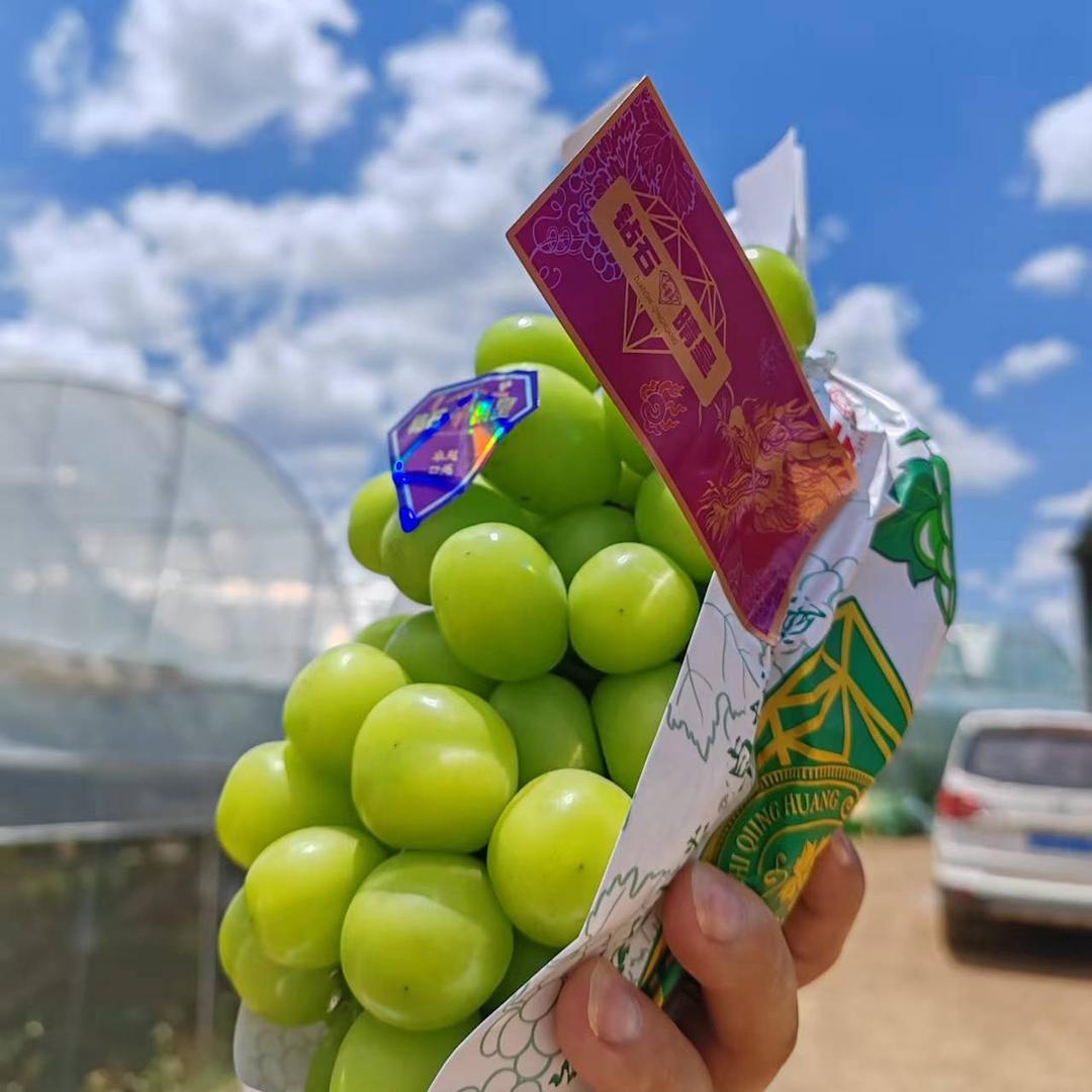 钻石老魏（钻石晴皇）