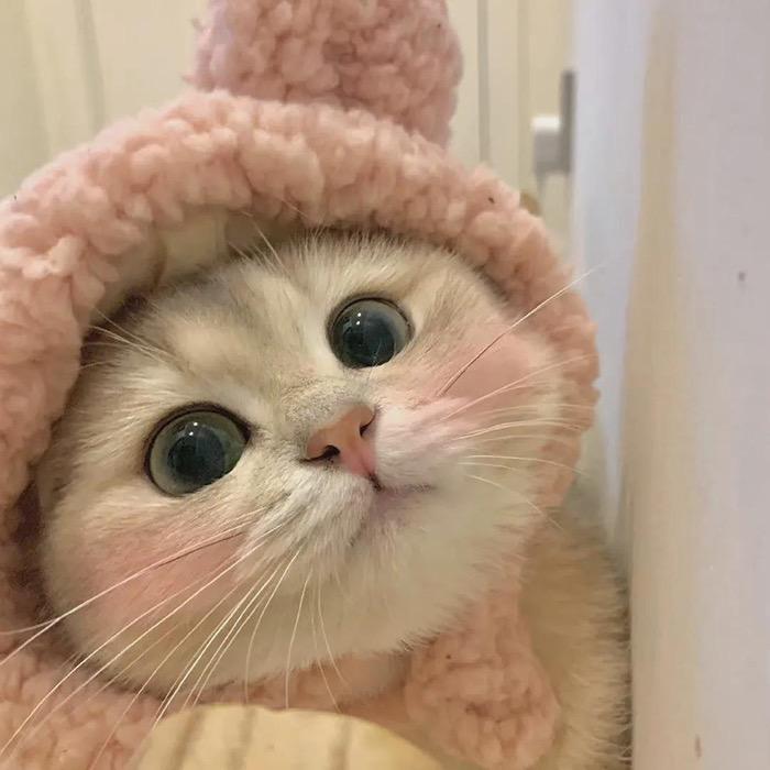 十里