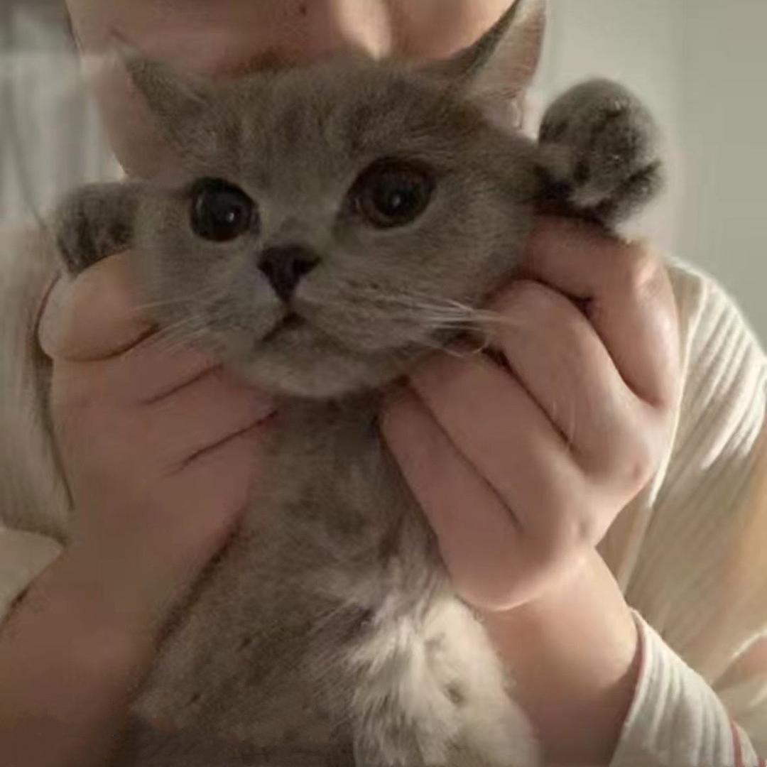 大头菜。