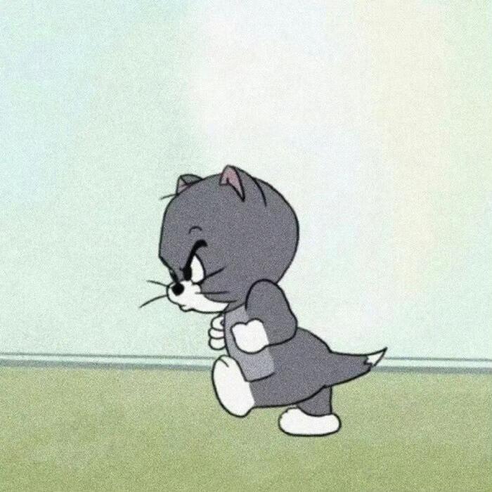 喵喵喵喵喵