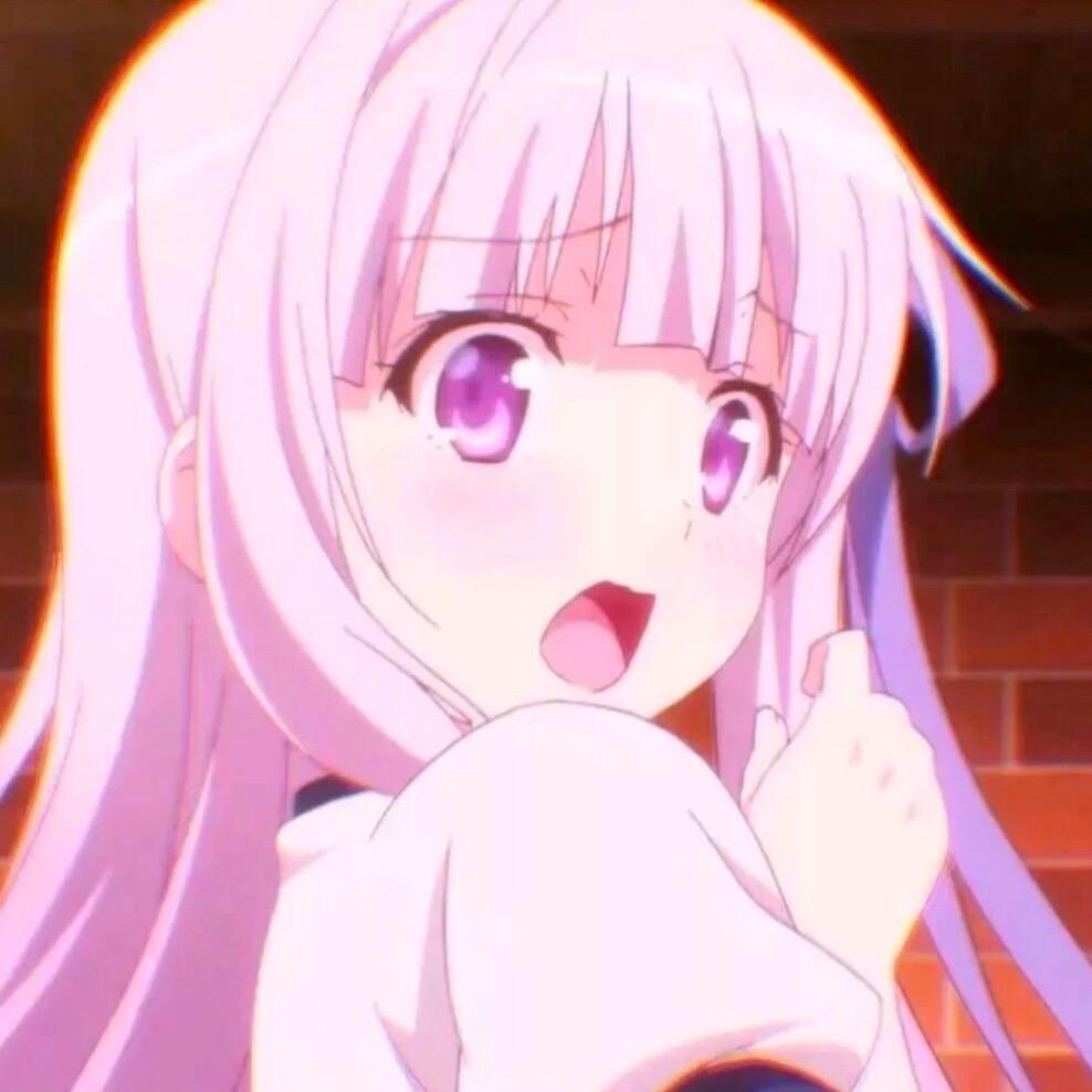 狗狗猪