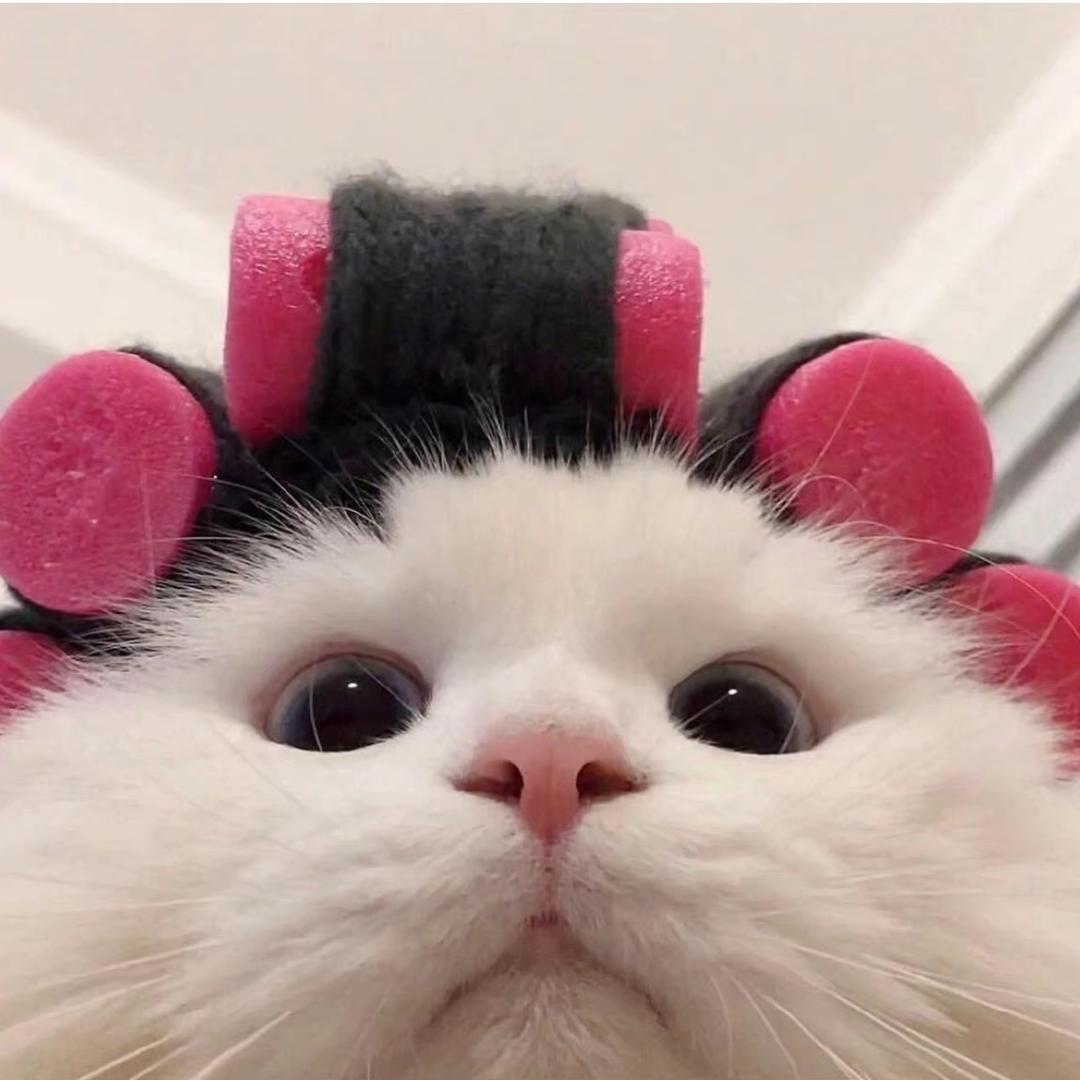 今年三十八