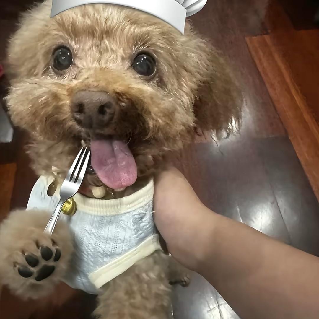 小🐑^