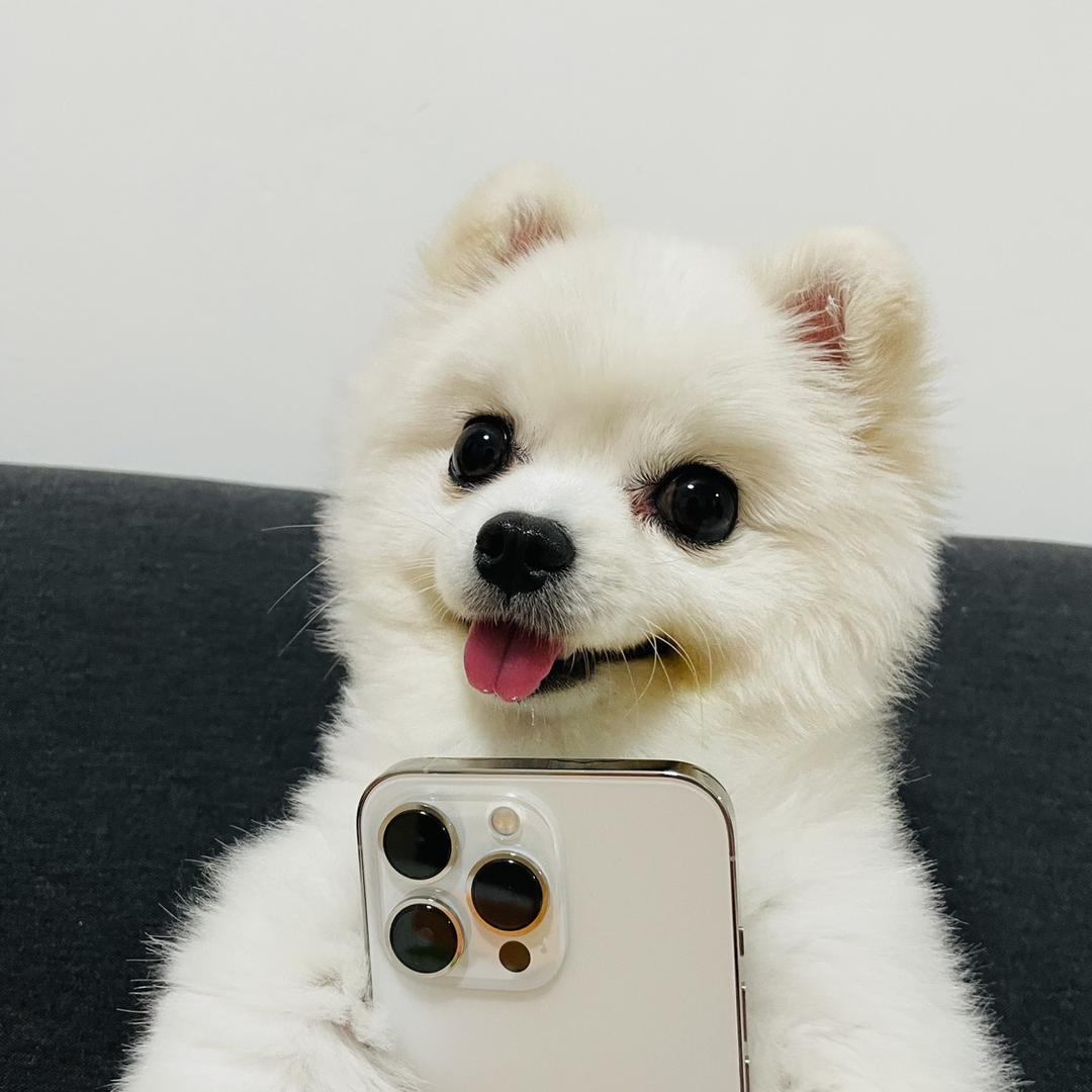 布总🐶