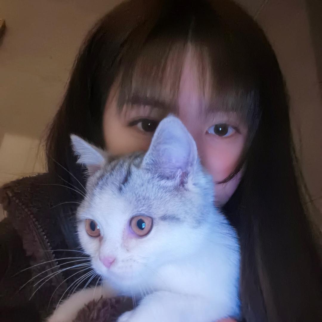 面团子
