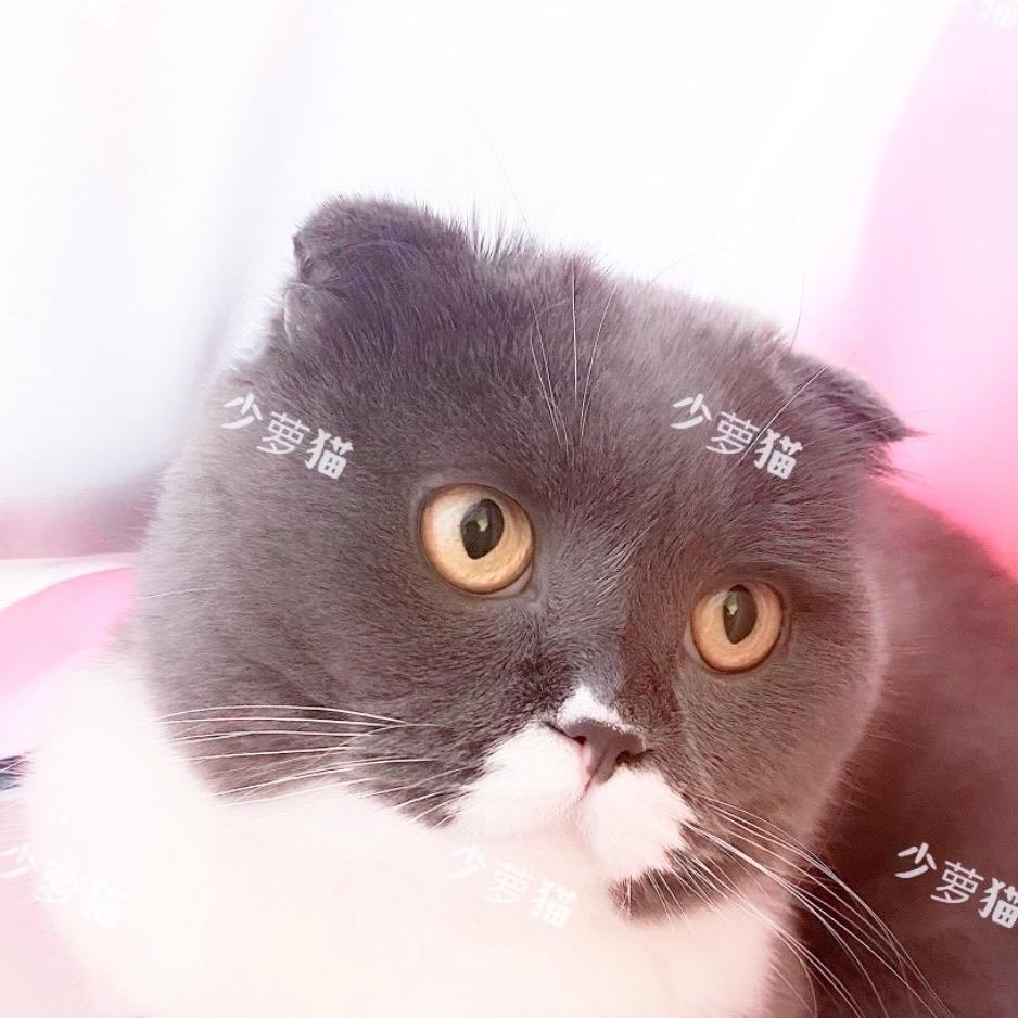 当