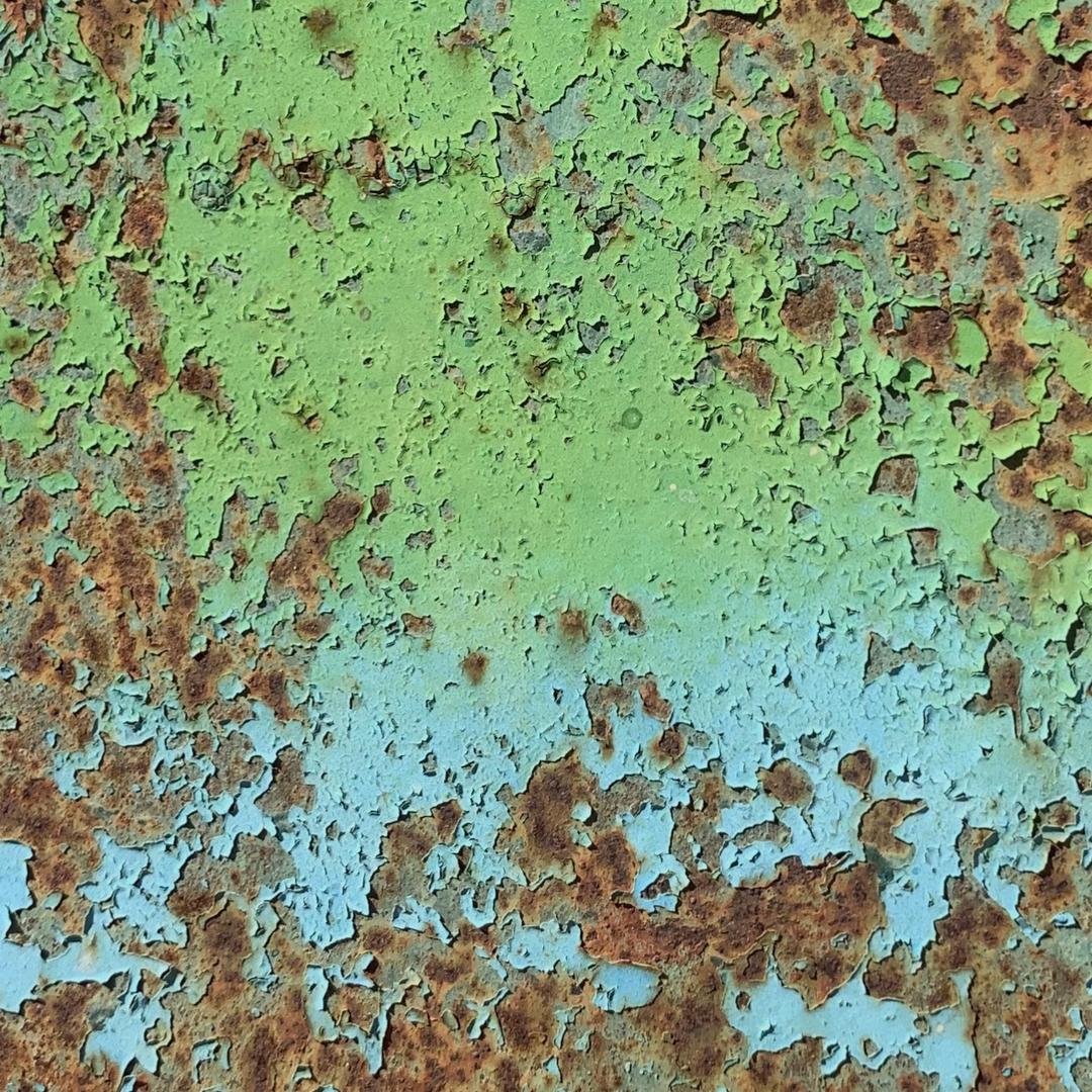 画画