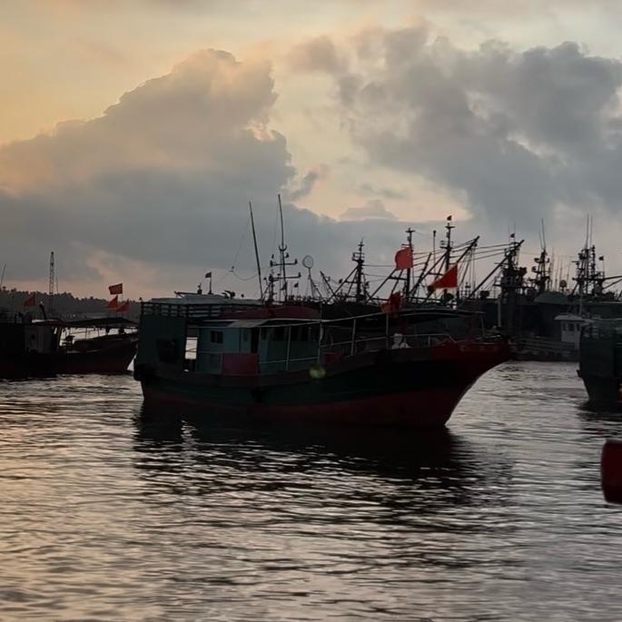 🐟波爸捕鱼日记